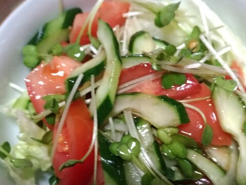 フレンチドレッシングで食べる生野菜